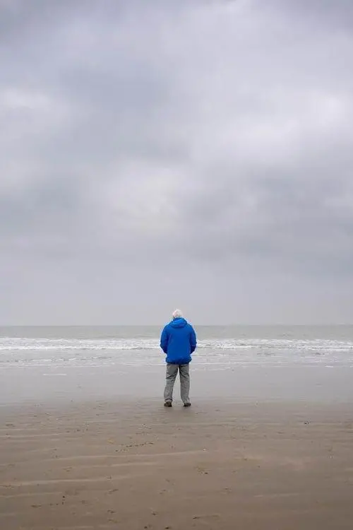 Постер до фільму "Ocean with David Attenborough"