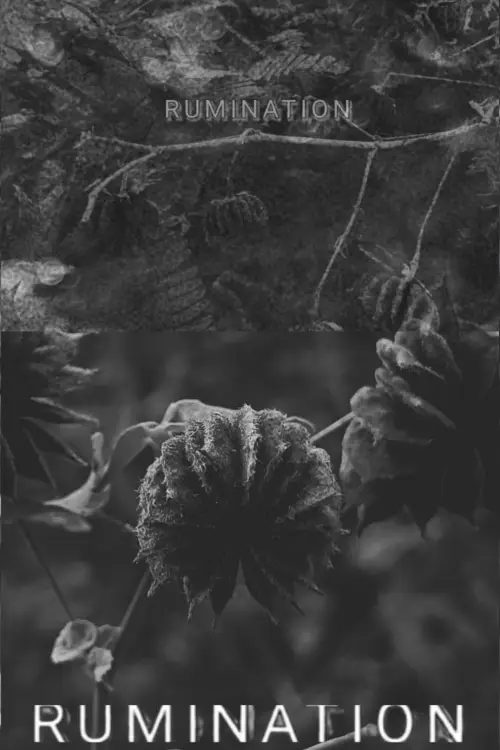 Постер до фільму "RUMINATION"