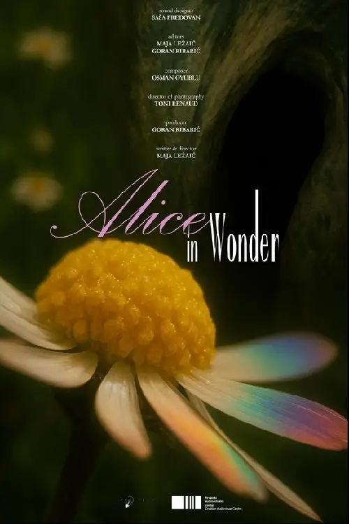 Постер до фільму "Alice in Wonder"