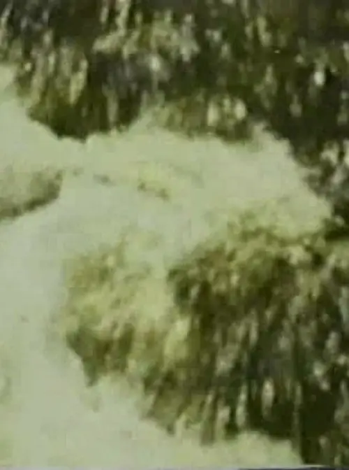 Постер до фільму "Пісня 3"