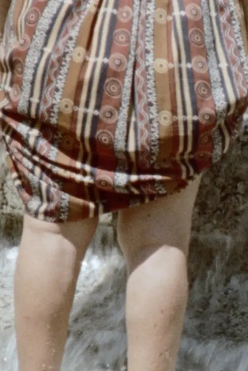 Постер до фільму "Fuente Alemana"