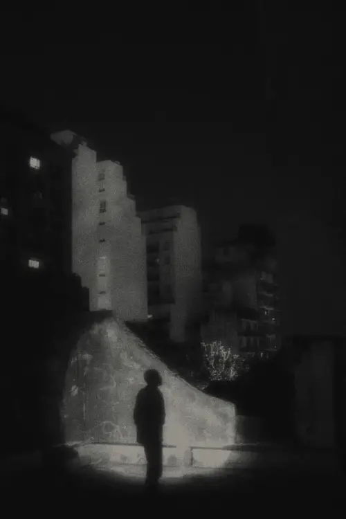 Постер до фільму "The Night is Fading Away"