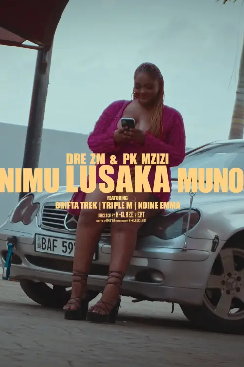 Постер до фільму "This is Lusaka"