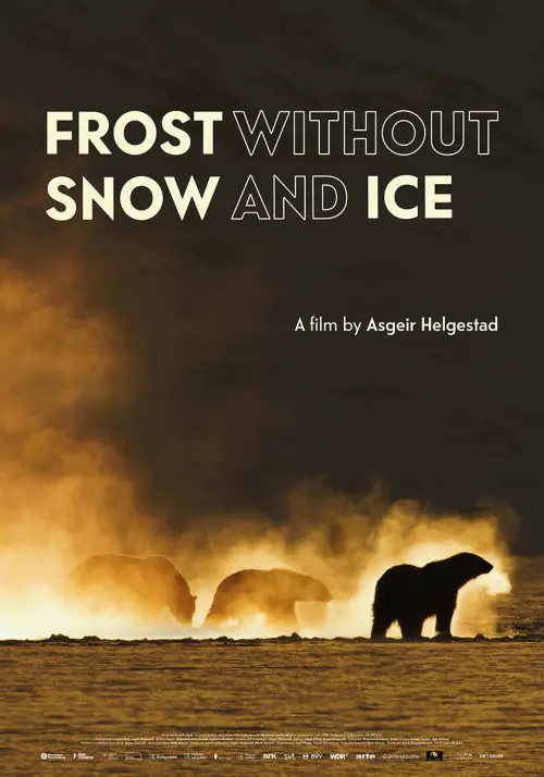 Постер до фільму "Frost uten Snø og Is"