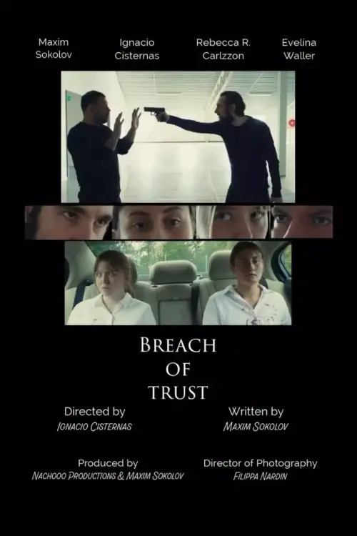 Постер до фільму "Breach of Trust"