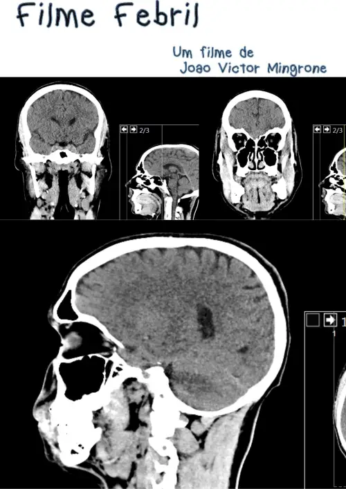 Постер до фільму "Filme Febril"
