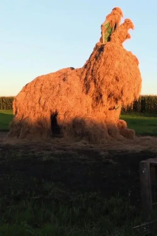 Постер до фільму "The Fen-fire"