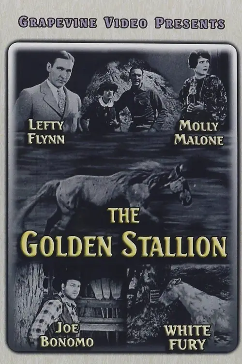 Постер до фільму "The Golden Stallion"