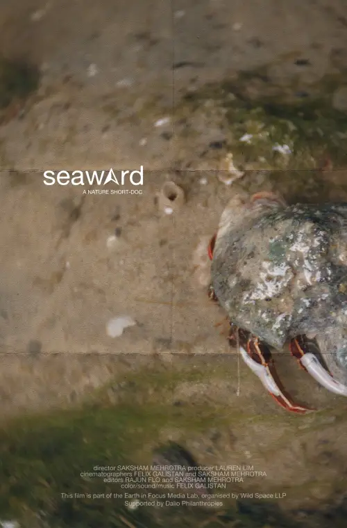 Постер до фільму "seaward"