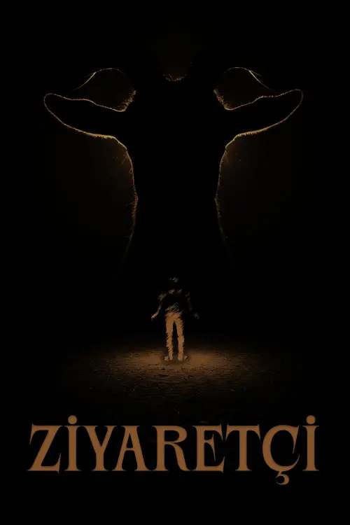 Постер до фільму "Visitor"