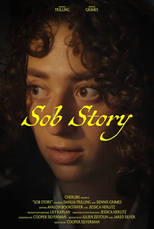Постер до фільму "Sob Story"