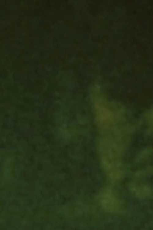 Постер до фільму "Пісня 29"