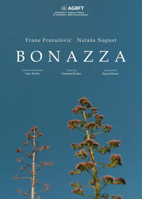 Постер до фільму "Bonazza"