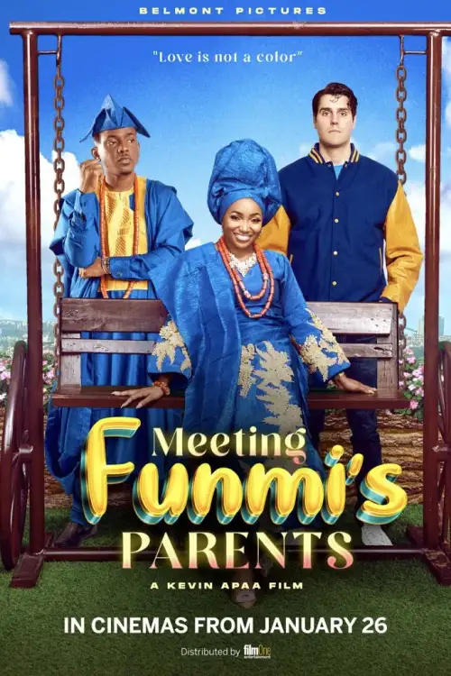 Постер до фільму "Meeting Funmi