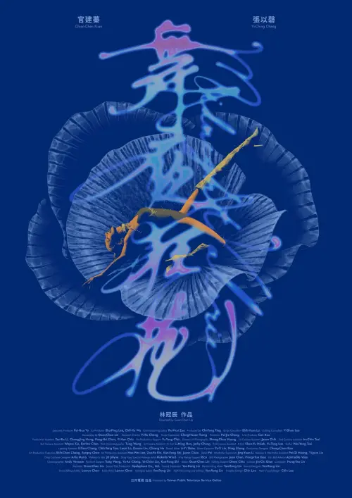 Постер до фільму "Midnight Valerie"