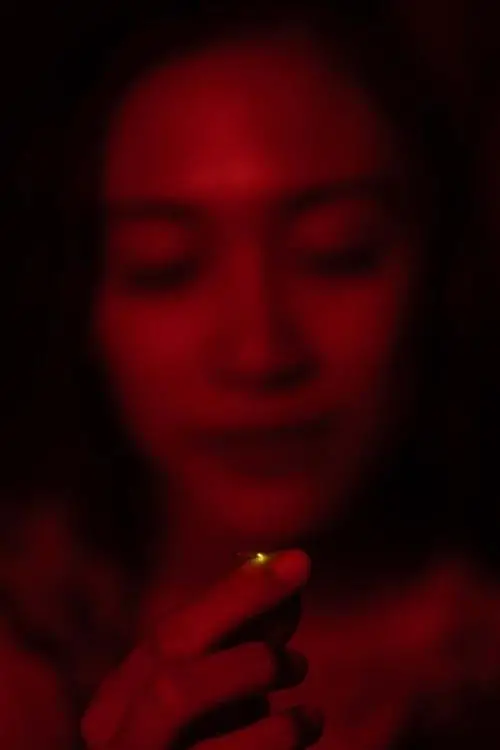 Постер до фільму "Return of the Fireflies"