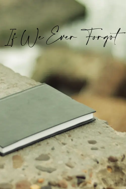 Постер до фільму "If We Ever Forgot"