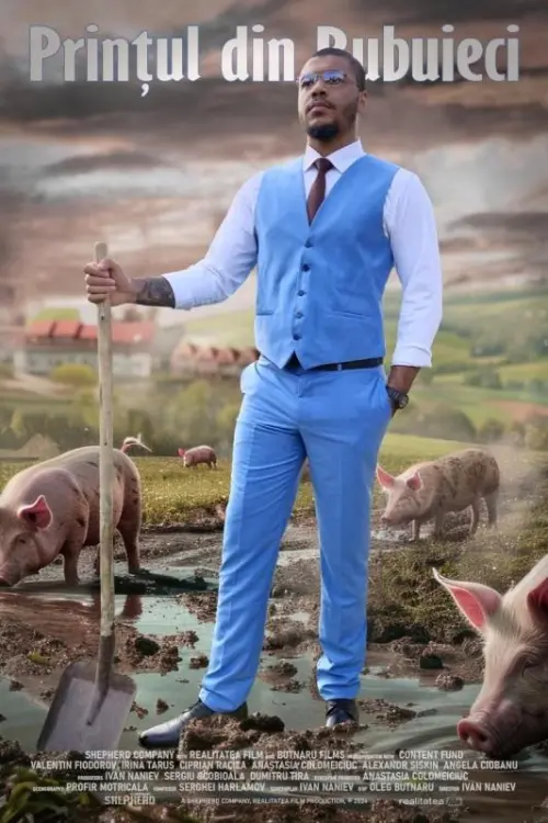 Постер до фільму "The Prince from Bubuieci"