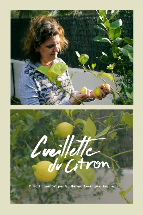 Постер до фільму "Cueillette du citron"