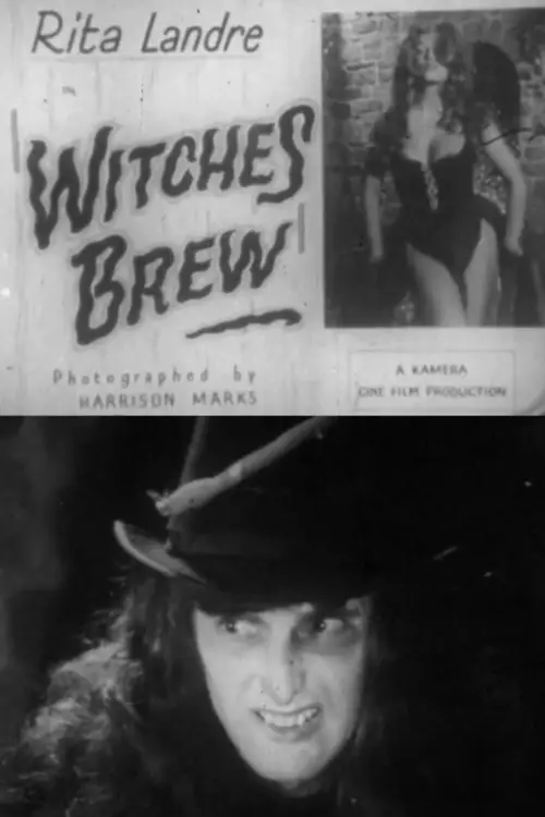 Постер до фільму "Witches Brew"