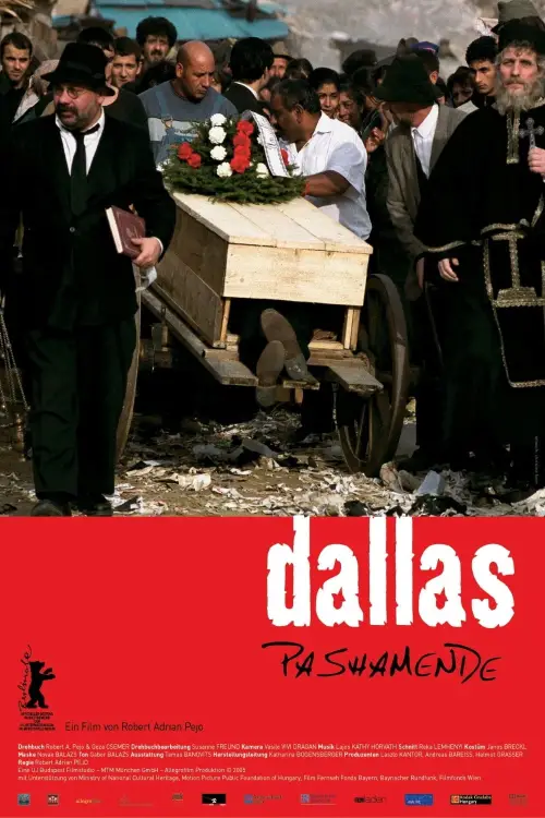 Постер до фільму "Dallas Pashamende"