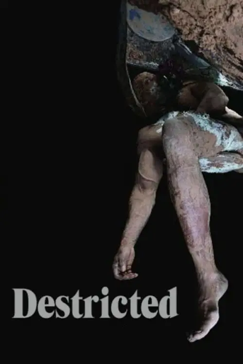 Постер до фільму "Destricted"