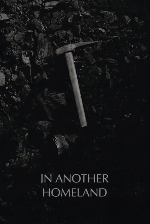 Постер до фільму "In Another Homeland"