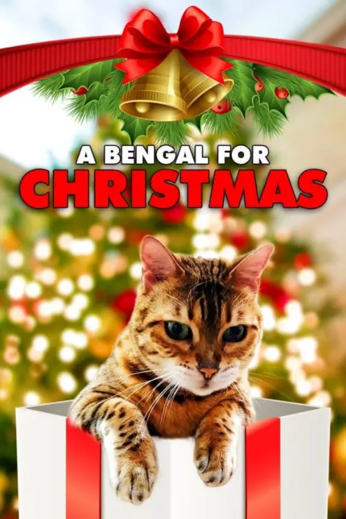Постер до фільму "A Bengal for Christmas"