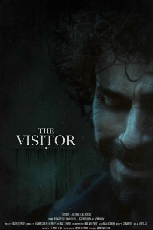 Постер до фільму "The Visitor"