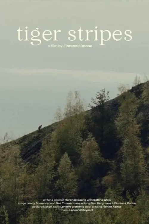 Постер до фільму "Tiger Stripes"