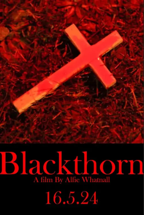 Постер до фільму "Blackthorn"