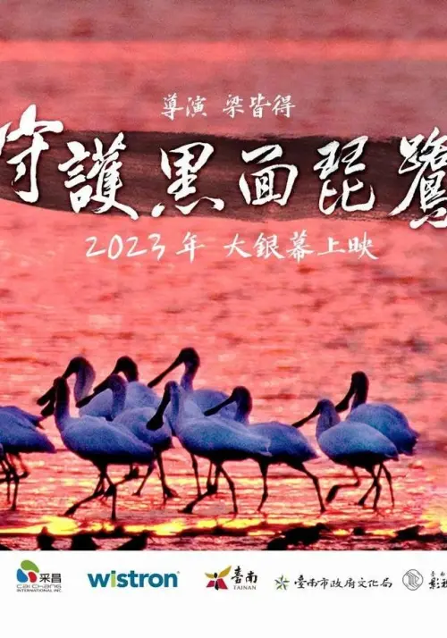 Постер до фільму "Caring for Black-Faced Spoonbill"