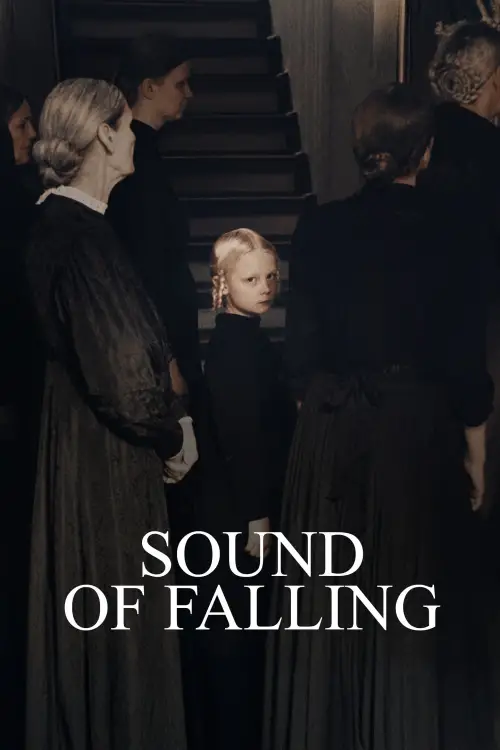 Постер до фільму "Sound of Falling"