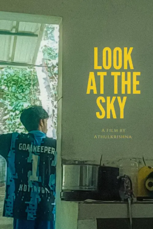 Постер до фільму "Look at the Sky"