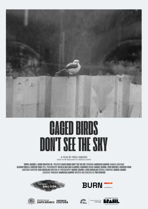 Постер до фільму "Pássaros Enjaulados Não Veem o Céu"