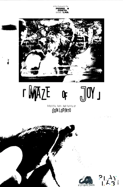 Постер до фільму "Maze of Joy"