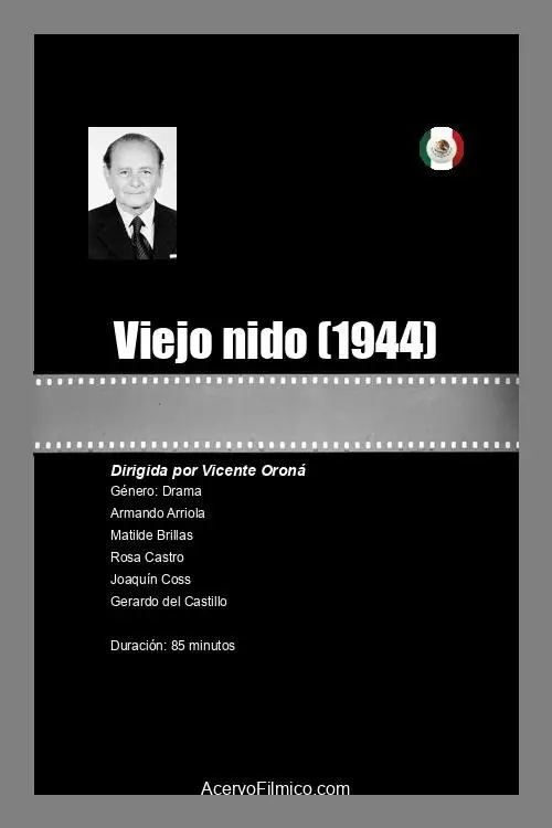 Постер до фільму "Viejo nido"
