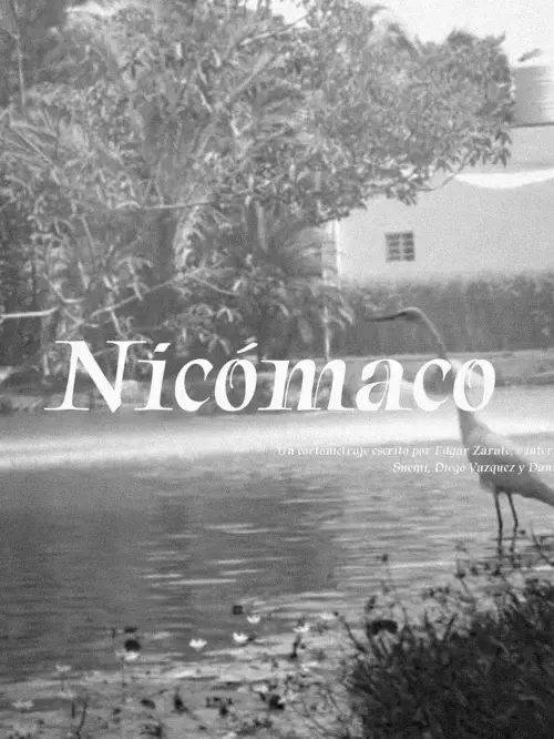 Постер до фільму "Nicómaco"