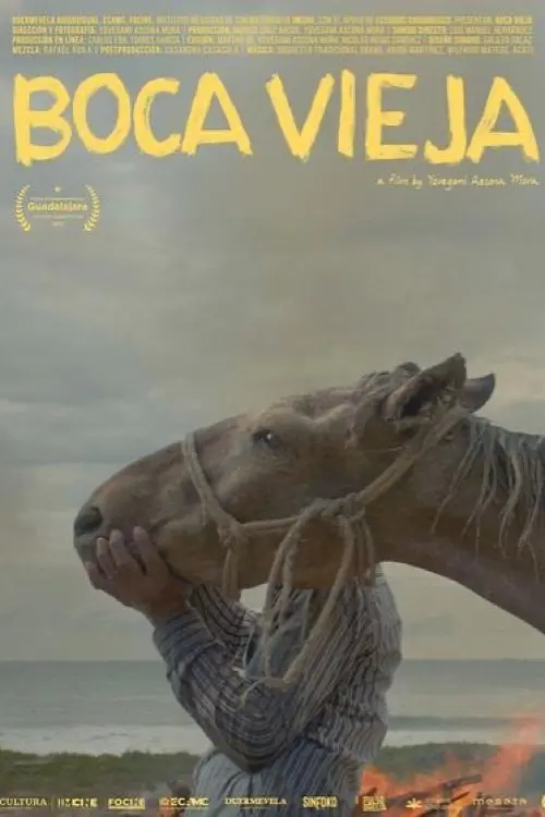 Постер до фільму "Boca Vieja"