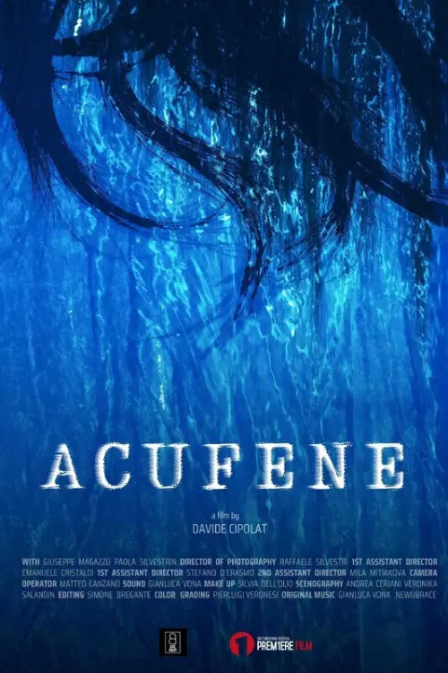 Постер до фільму "Acufene"