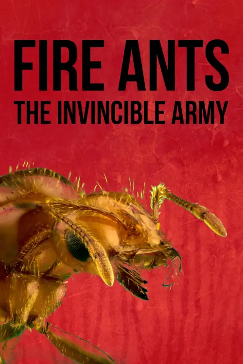 Постер до фільму "Fire Ants 3D: The Invincible Army"