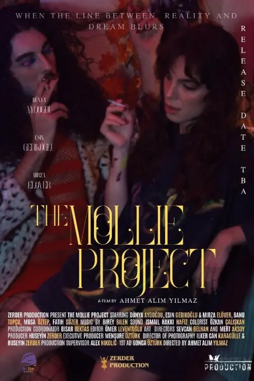 Постер до фільму "The Mollie Project"