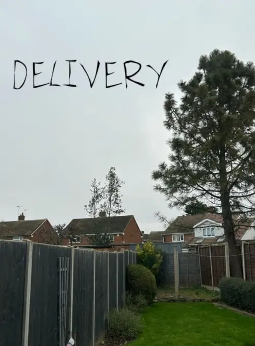 Постер до фільму "Delivery"