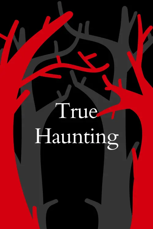 Постер до фільму "The Haunting in Wicker Park"