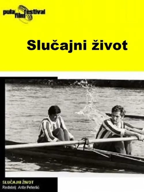 Постер до фільму "Accidental Life"