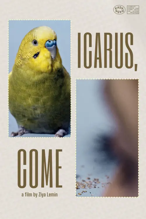 Постер до фільму "Icarus, Come"
