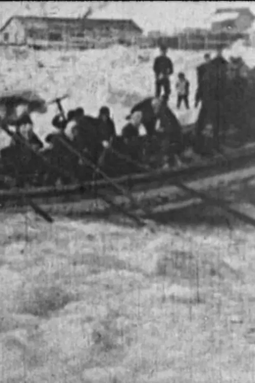 Постер до фільму "The Crown of Life"