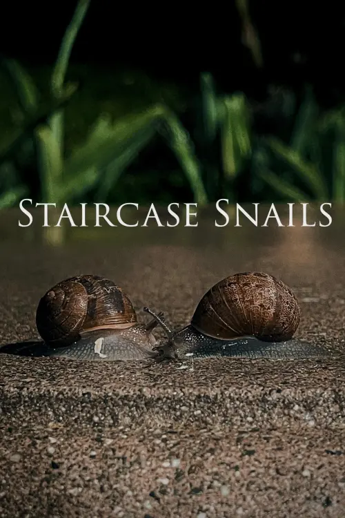 Постер до фільму "Staircase Snails"