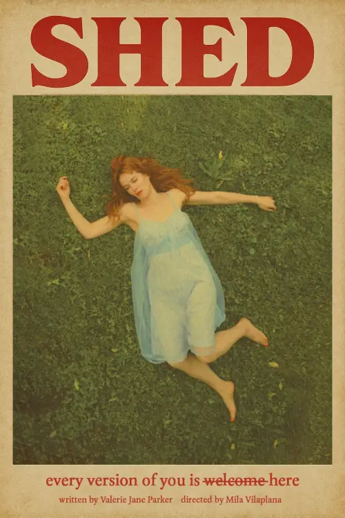 Постер до фільму "SHED"