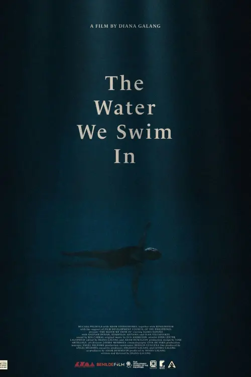 Постер до фільму "The Water We Swim In"